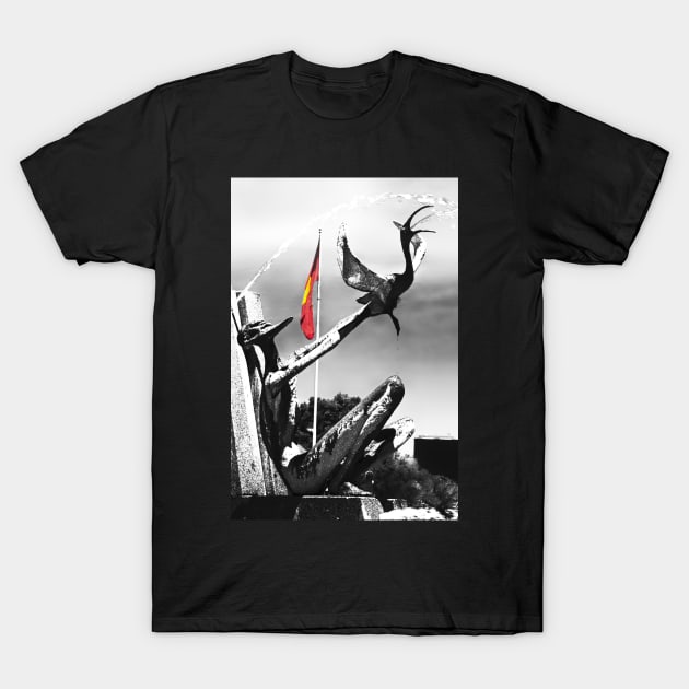 Tee shirt dowie store